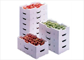蔬菜和水果盒